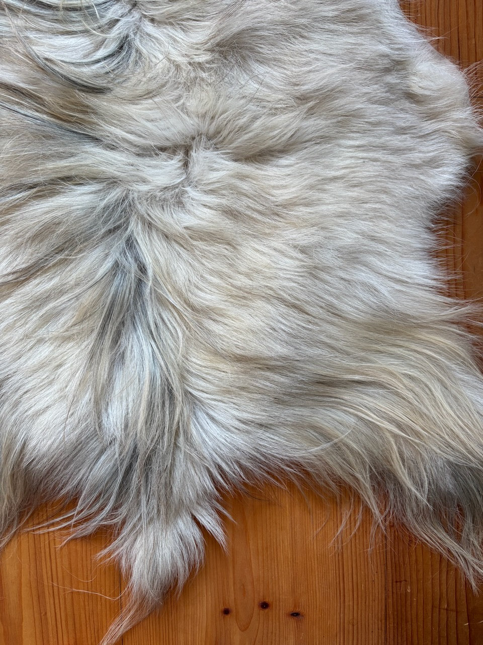 Cashmere Goat Hide 325G1