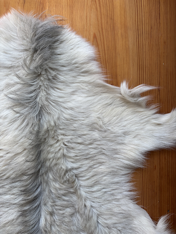 Cashmere Goat Hide 325G5
