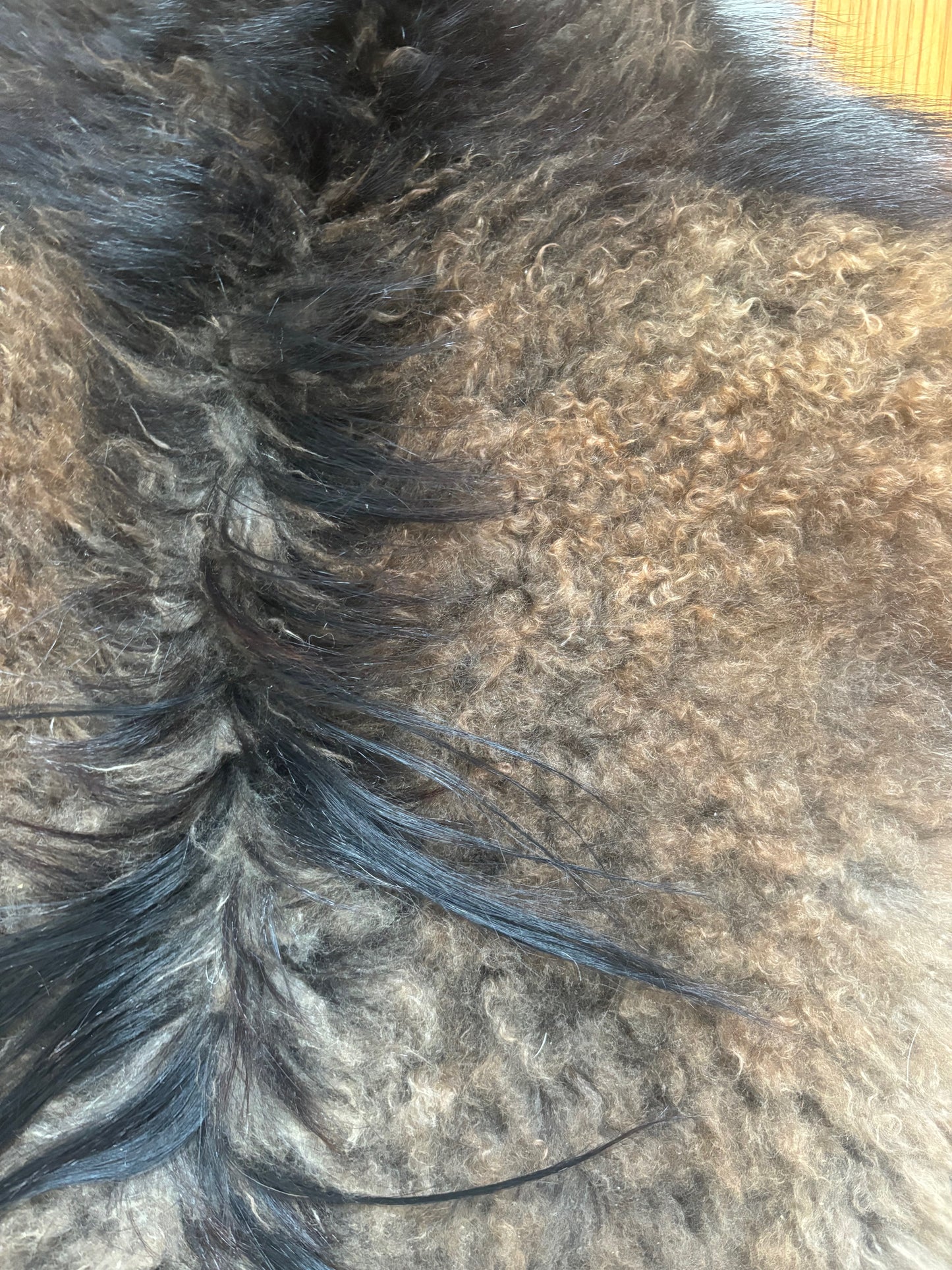 Cashmere Goat Hide G1251