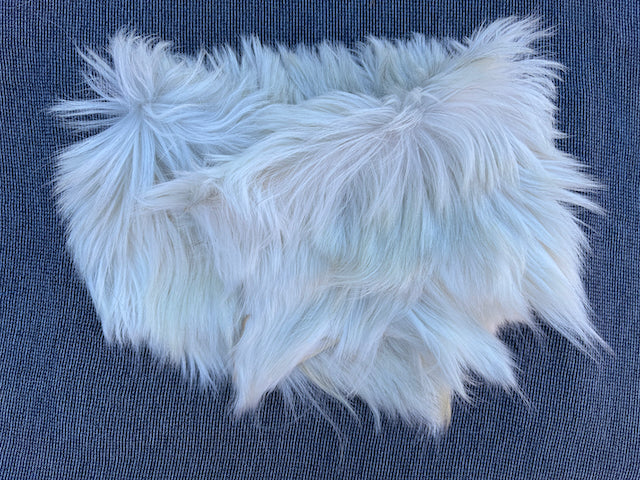 Cashmere Collar Dove