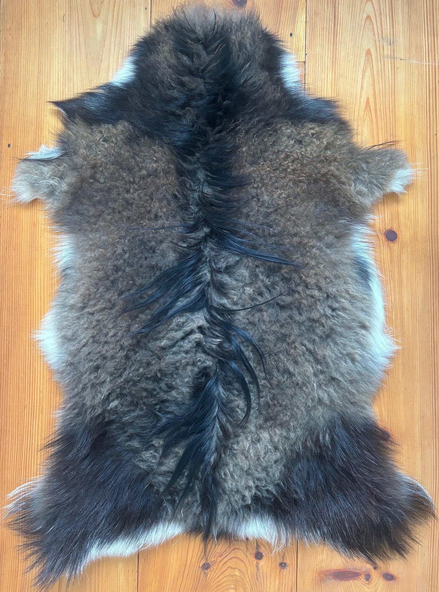 Cashmere Goat Hide G1251