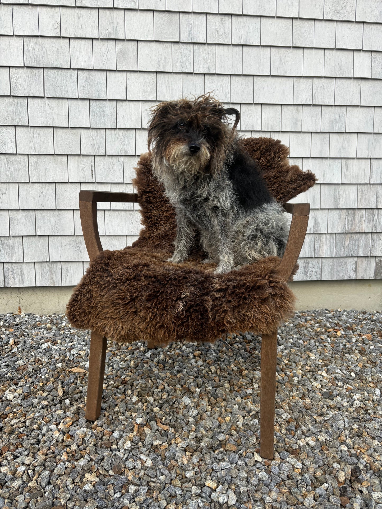 Natural Brown Sheepskin 06242