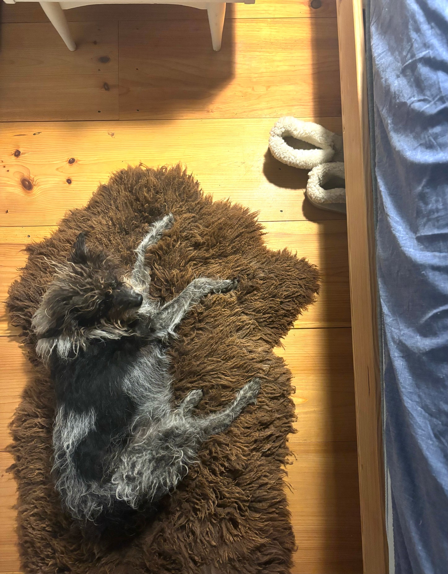 Natural Brown Sheepskin 32551