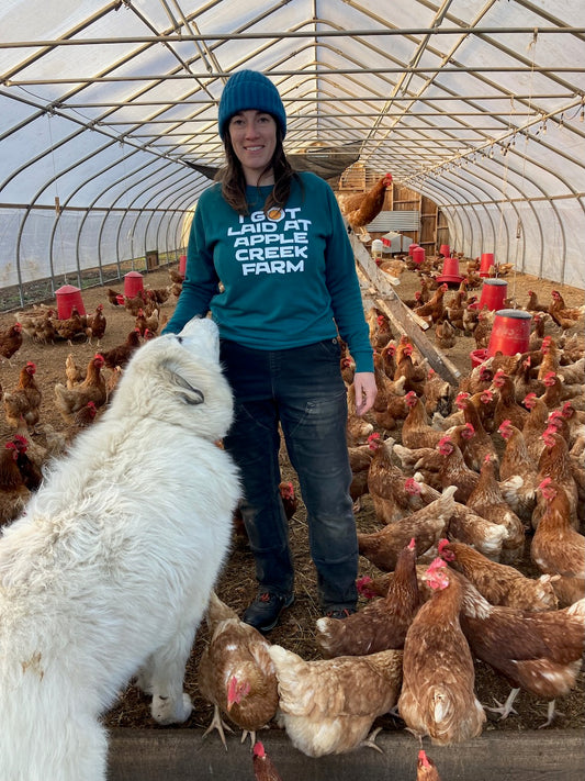 Apple Creek Punny Pullover