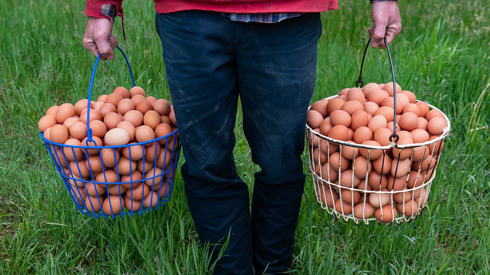 Local organic farmers