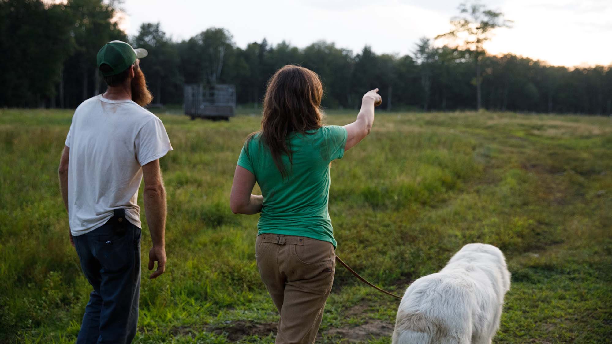 Our organic farm in Maine