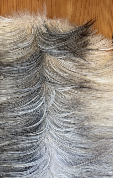 Cashmere Goat Hide G1252