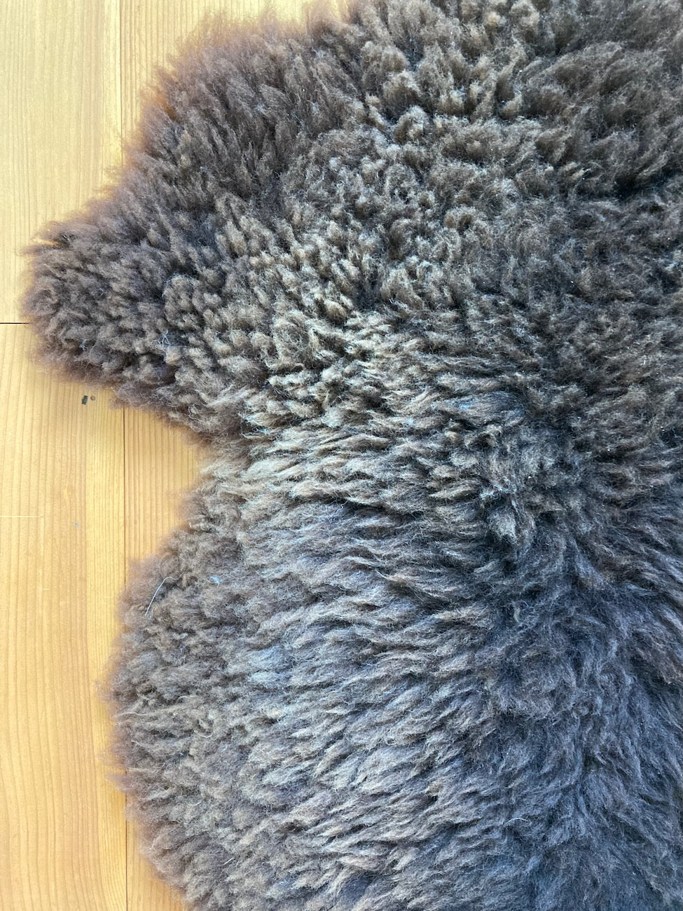 Detail of a gorgeous brown sheepskin on warm pine flooring